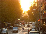 CIMG0929.jpg
