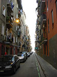 CIMG0931.jpg