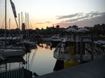 CIMG0938.jpg