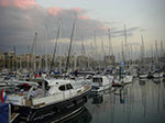 CIMG0939.jpg