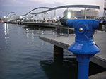 CIMG0946.jpg