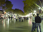 CIMG0972.jpg