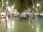 CIMG0978.jpg