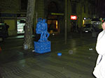 CIMG0979.jpg