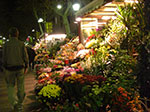 CIMG0984.jpg