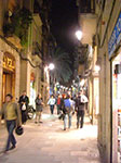 CIMG1006.jpg