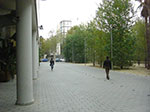 CIMG1035.jpg