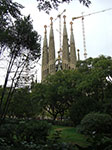 CIMG1045.jpg