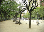 CIMG1048.jpg