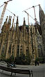 CIMG1085-pan.jpg