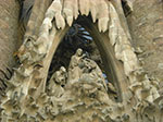 CIMG1110.jpg