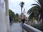 CIMG1163.jpg