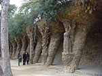 CIMG1168.jpg