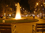 CIMG1214.jpg