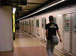 CIMG1255.jpg
