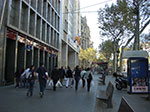CIMG1257.jpg