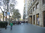 CIMG1265.jpg