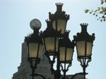 CIMG1274.jpg