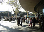 CIMG1279.jpg