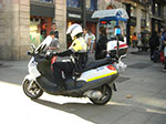 CIMG1294.jpg