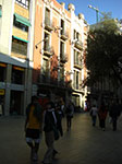 CIMG1296.jpg