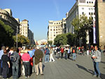 CIMG1307.jpg