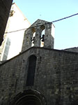 CIMG1312.jpg