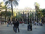 CIMG1347.jpg