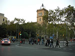 CIMG1384.jpg