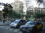 CIMG1385.jpg