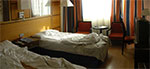 CIMG1542-pan.jpg