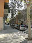 CIMG1548.jpg