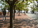 CIMG1564.jpg