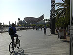 CIMG1574.jpg