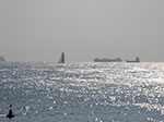 CIMG1609.jpg