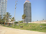 CIMG1625.jpg