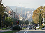 CIMG1696.jpg