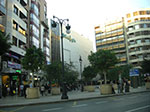 CIMG1795.jpg