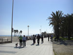 2007-11-04_12-31-05-CIMG1936.jpg