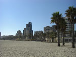 2007-11-04_12-33-34-CIMG1942.jpg