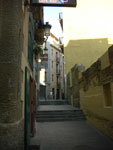 2007-11-04_16-23-41-CIMG2028.jpg