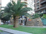 2007-11-04_17-12-03-CIMG2049.jpg
