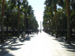 2007-11-05_14-08-10-CIMG2131.jpg