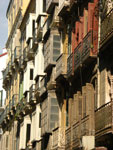 2007-11-07_15-19-22-CIMG2538.jpg