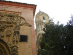 2007-11-07_15-23-04-CIMG2546.jpg