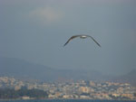 2007-11-07_17-10-14-CIMG2607.jpg