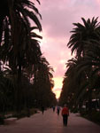2007-11-07_17-48-05-CIMG2681.jpg