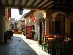2007-11-08_13-05-01-CIMG2742.jpg
