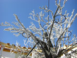 2007-11-08_13-06-30-CIMG2745.jpg