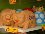 2007-11-08_13-08-21-CIMG2747.jpg